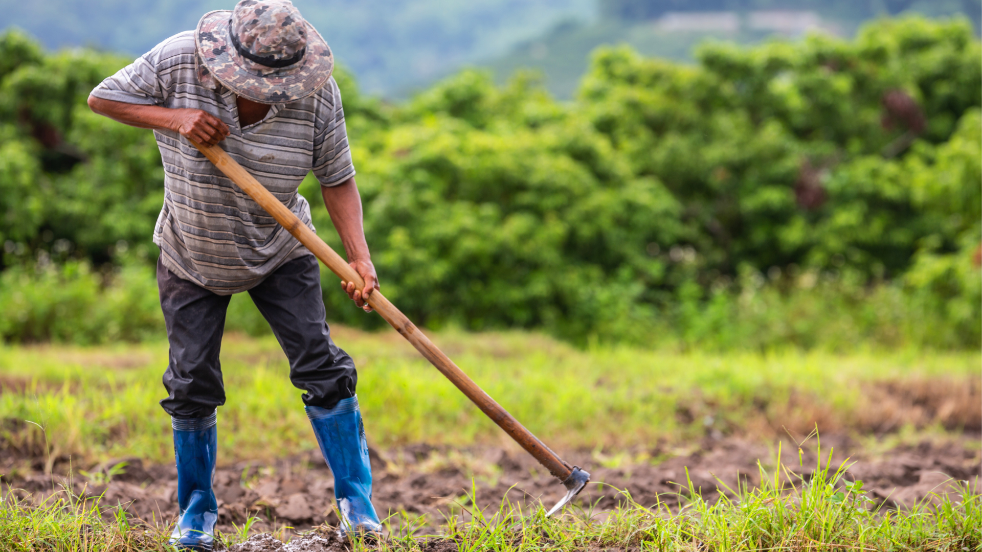 Saúde do Trabalhador Rural | WTA Medicina do Trabalho